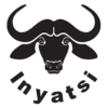 Inyatsi Construction Ltd