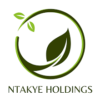 Ntakye Holdings