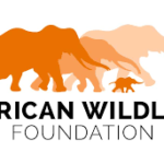 African Wildlife Foundation (AWF)